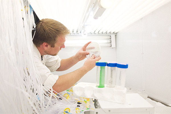 Research experiments