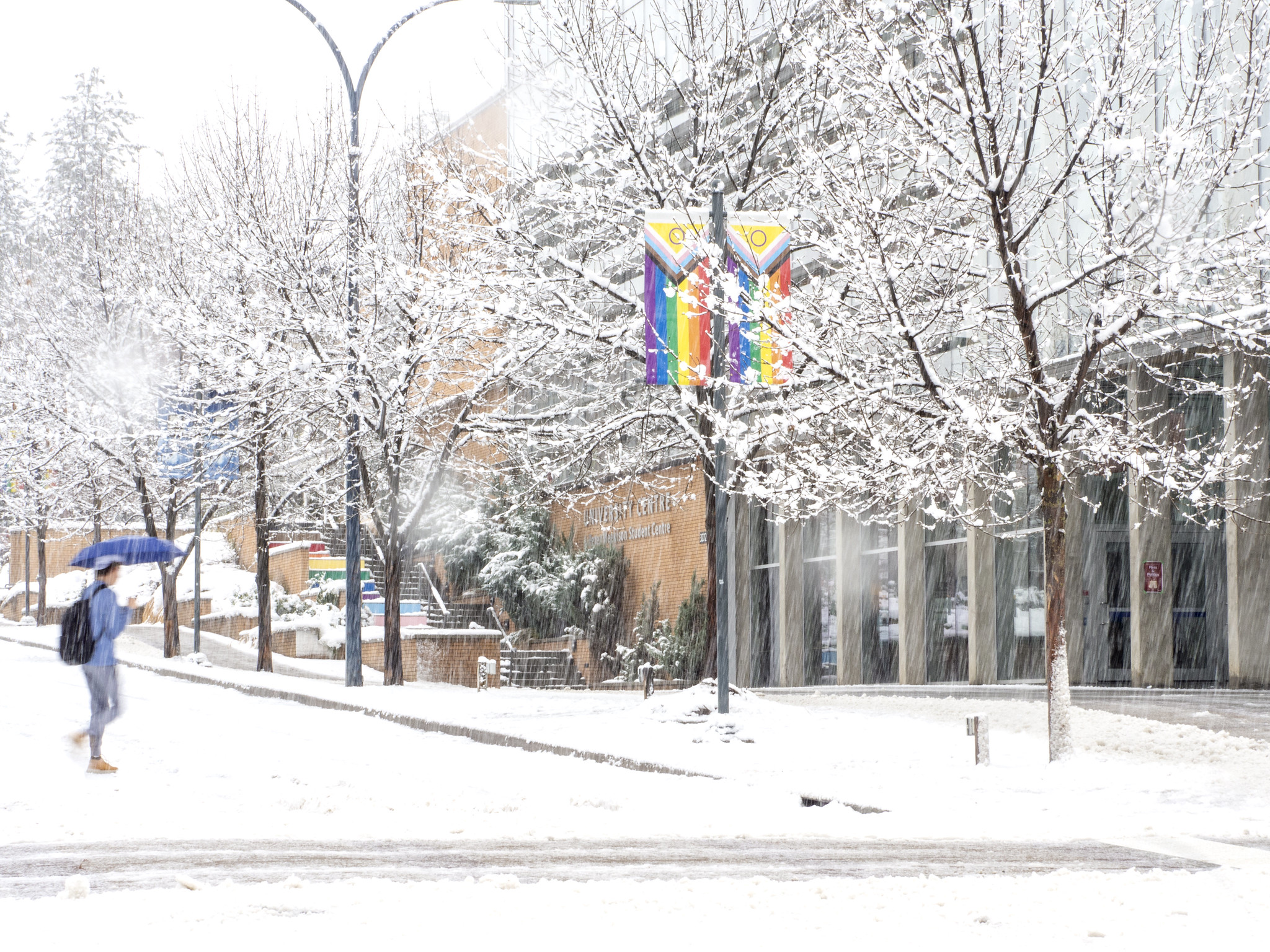 Pride flags in snow