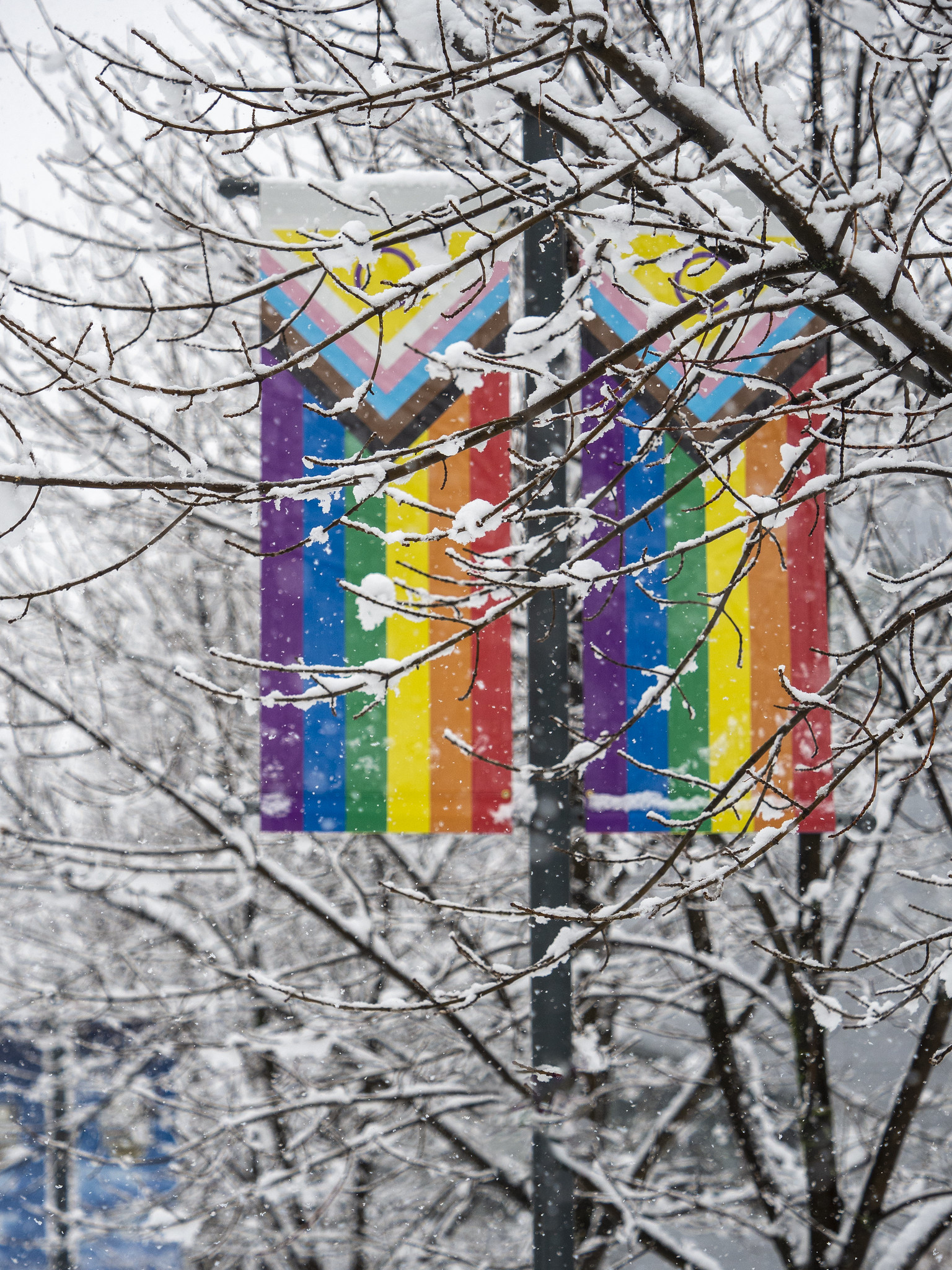 Pride flags in snow